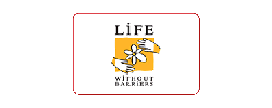 Life Without Barriers logo